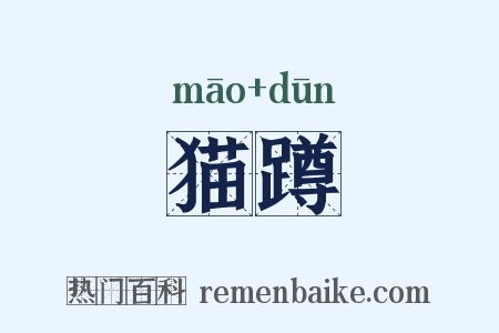 猫蹲是什么意思的图片